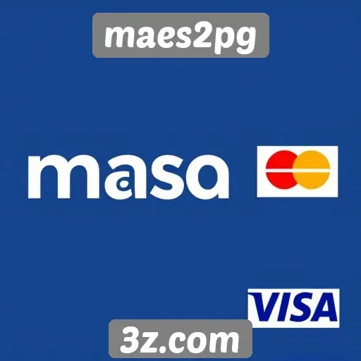 Plataformas de pagamento no maes2pg são diversificadas